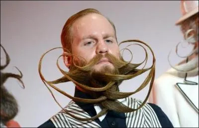 Quelle sous-catgorie n'existe pas (dans aucune des grandes catgories) ?