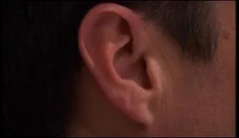 Qui est le ralisateur en mme temps que l'interprte principal du film  L'homme qui murmurait  l'oreille des chevaux  ?