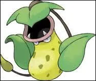 Qui est ce Pokmon, qui a d'ailleurs appartenu  James ?