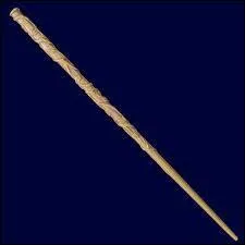 Il s'agit de la baguette de :