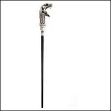 Cette baguette est la proprit de :