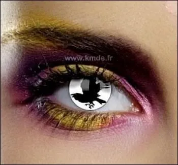 Quelle est la dfinition du mot  corbillat  ?