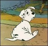 Quelle est la particularit de  Roly  ?