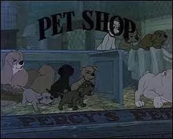 O se droule cette histoire ?