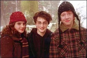  Tu as besoin de tes amis, Harry. Comme tu l'as si justement fait remarquer, Sirius n'aurait pas voulu que tu te refermes sur toi-mme.  