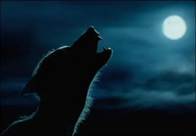   Tu as vu ! Elle veut toujours l'pouser, mme s'il a t mordu ! Elle s'en fiche !  