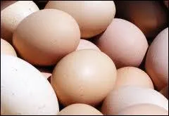 En t, la poule pond normalement un oeuf par jour. Un oeuf moyen contient 70 % d'eau, 10 % de protines, 10 % de matires grasses et 10 % :