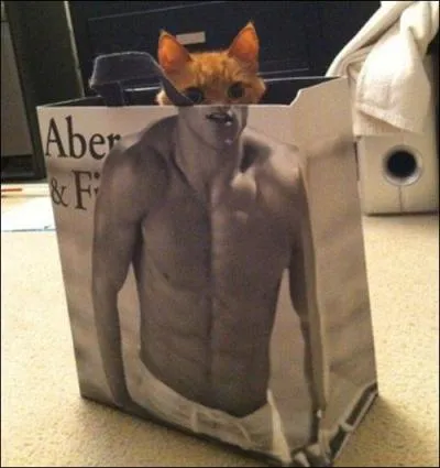 Quel beau gosse ! Les chats ne peuvent pas voir le bleu :