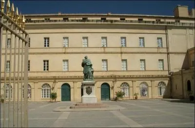 Dans quelle ville se trouve le muse Fesch, trs riche en peintures italiennes ?