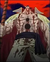 Qu'a-t-il fallu pour tuer Barbe Blanche ?