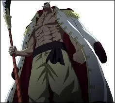 Qui a pris les pouvoirs de Barbe Blanche  sa mort ?