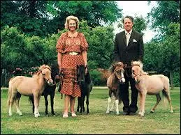 Quelle est la plus petite race de poneys ?