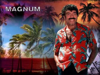 Si je vous dis  chemise hawaenne rouge et gros calibre  vous me dites...