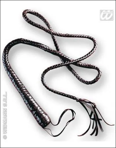 Si je vous dis  fouet et fline sexy  vous me dites...