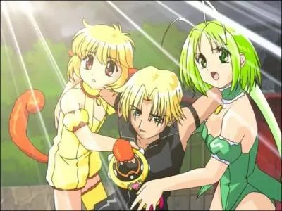 Et enfin, quelle langue a pour titre pour la srie '' Dong Jing Mao Mao'' ?