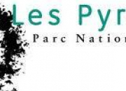 Quiz Empreintes de mammifres des Pyrnes