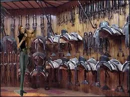 Comment appelle-t-on la salle o l'on range les affaires des chevaux ? (selle, filet, licol, brosses ... )