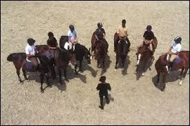 Quels mtiers autour du cheval n'existent pas ?