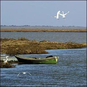 De quoi l'lment aquatique est-il compos ?