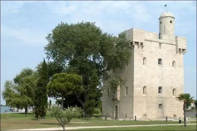 Comment appelle-t-on les tours Saint-Louis, btie en 1737, en bordure du Grand Rhne, Saint-Genest difie en 1656 et Tampa, construite en 1614 ?