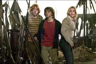 O sont Harry, Ron et Hermione ?