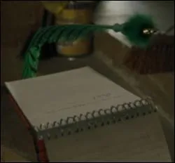   Elle plongea  nouveau la main dans son sac en crocodile et en sortit une longue plume d'un vert criard, ainsi qu'un rouleau de parchemin qu'elle droula et posa entre eux, sur une caisse de Nettoie-Tout magique de la Mre Grattesec.   A qui appartient cette Plume  Papote acre ?