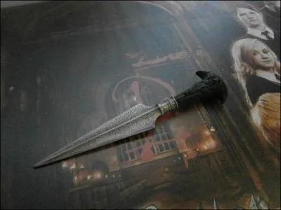   Ensemble, Harry et lui baissrent leur regard vers le manche argent du poignard plant dans sa poitrine haletante.   Pour finir, vous savez sans doute  qui appartient mon poignard prfr ?