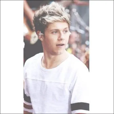 Qui est (sont) l'(les) idole(s) de Niall ?
