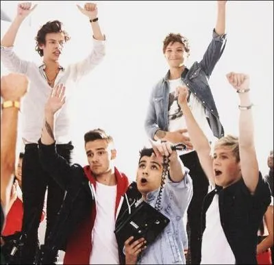 Comment s'appelle leur film ?