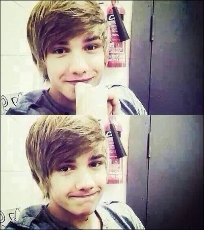 Quelle chanson Liam a-t-il chante lors de son audition  X-Factor ?