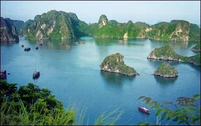 La baie d'Along est une tendue d'eau d'environ 1 500 km situe au nord du Vit Nam. Dans quel golfe se trouve-t-elle ?