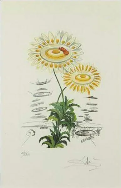 Quel peintre, plus connu pour avoir peint "La rose médiative" a peint Les marguerites ?