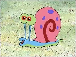 Quel est l'animal de compagnie de Bob ?