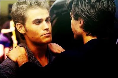Combien de fois Damon et Stefan se sont-ils battus pour une fille ?
