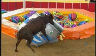 Qu'est-ce qu'un  fil rouge  ?