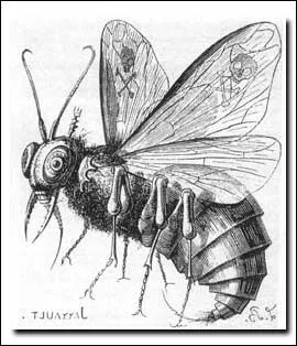 Quel dmon est aussi appel le matre des mouches ?