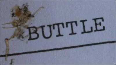 Dans quel film de Terry Gilliam une mouche est-elle  l'origine d'une norme erreur administrative ?