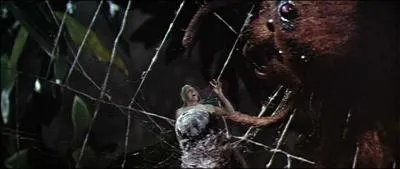 La photo est tire de  La mouche noire  de Kurt Neumann. Peut-tre vous rappelez-vous de cette scne o une mouche  tte d'homme prte  tre dvore par une araigne, crie d'une petite voix aigu :  Help me ! Help me !   Cette mouche... .