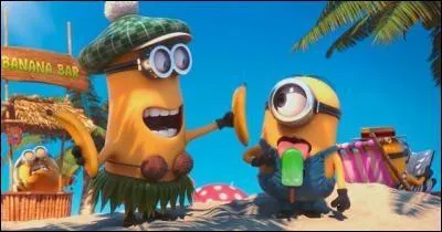 Comment s'appelle le minion avec le bret ?