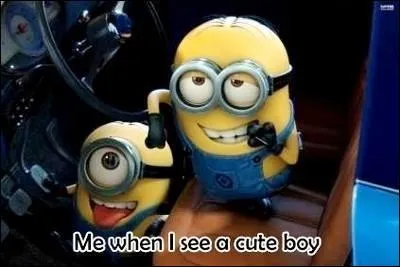 Est ce vrai qu'un minion tombe amoureux de Lucie ?