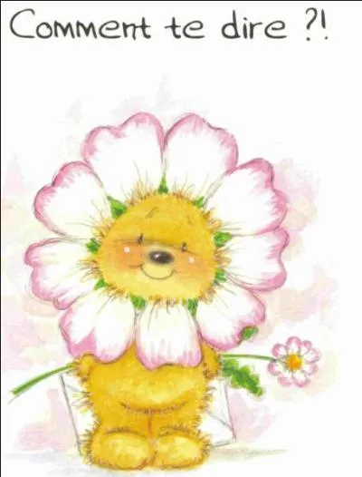 Qu'appelle-t-on  marguerite  dans le domaine culinaire ?