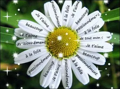 Si vous souhaitez mettre votre apprciation au quiz en effeuillant la marguerite, quelles apprciations suis-je susceptible de recevoir ?