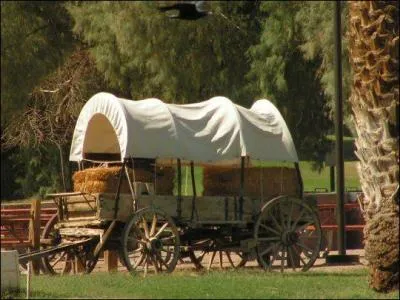 En quelle anne a eu lieu la rue vers l'or qui a inspir Charlie Chaplin dans l'un de ses films ?