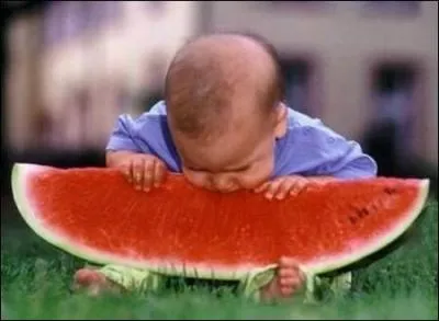 Le melon d'eau et la pastque sont la mme chose.