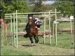 Que veut dire T. R. E. C. ?