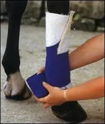 Lesquelles de ces bandes ne vas-tu pas trouver dans la sellerie ?