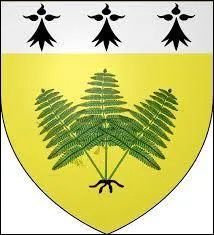 Observez bien ce blason, notamment la partie en jaune. A quelle ville d'Ille-et-Vilaine appartient-il ?