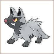 Qui est ce Pokmon qui ressemble  un loup ou un chien ?