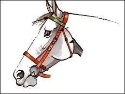 Avec quoi nettoie-t-on le filet ?