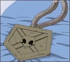 Quel est le rang d'Ichigo ?